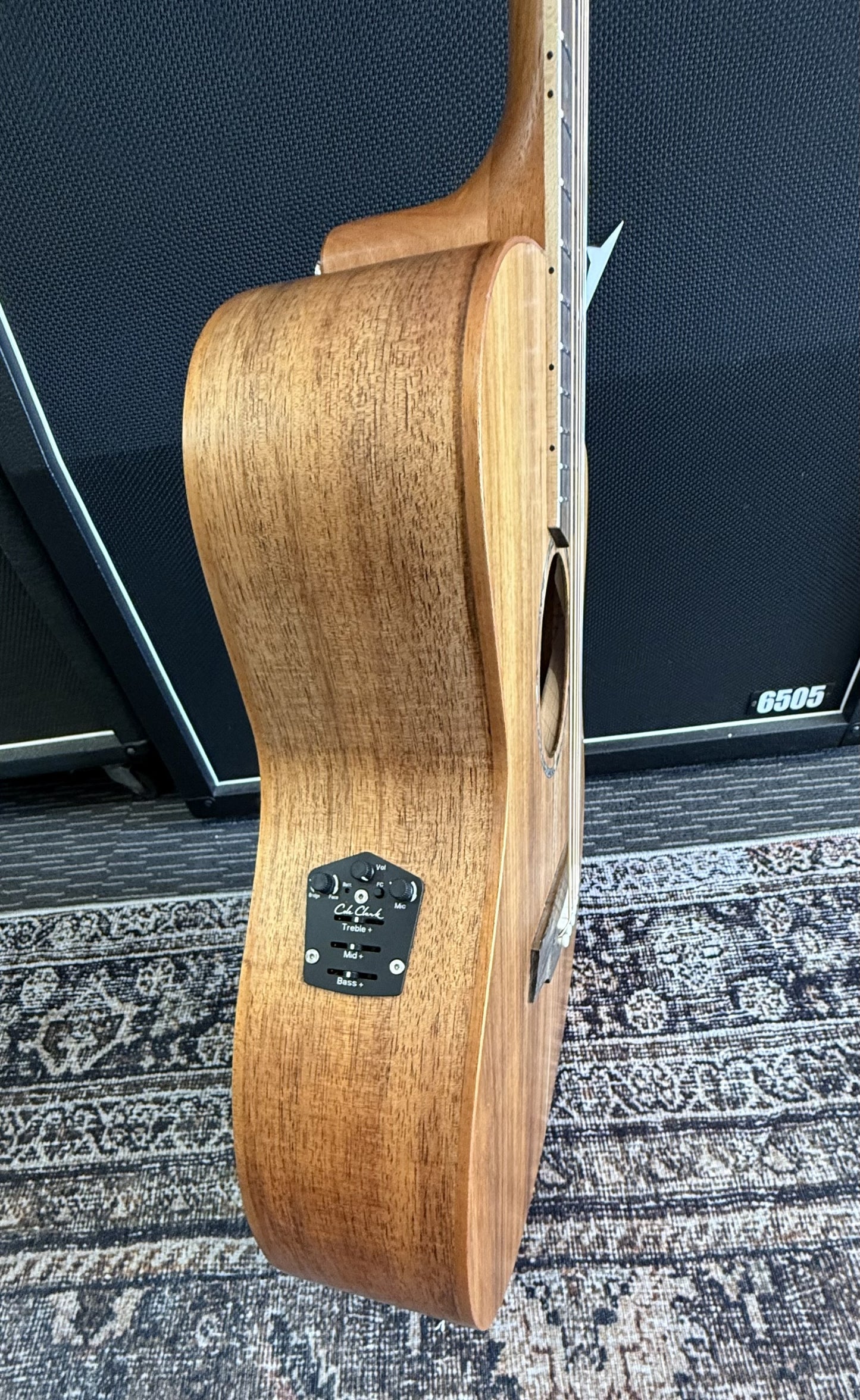 Cole Clark Studio series AN1EC - All Solid Blackwood with Dlx Gig Bag