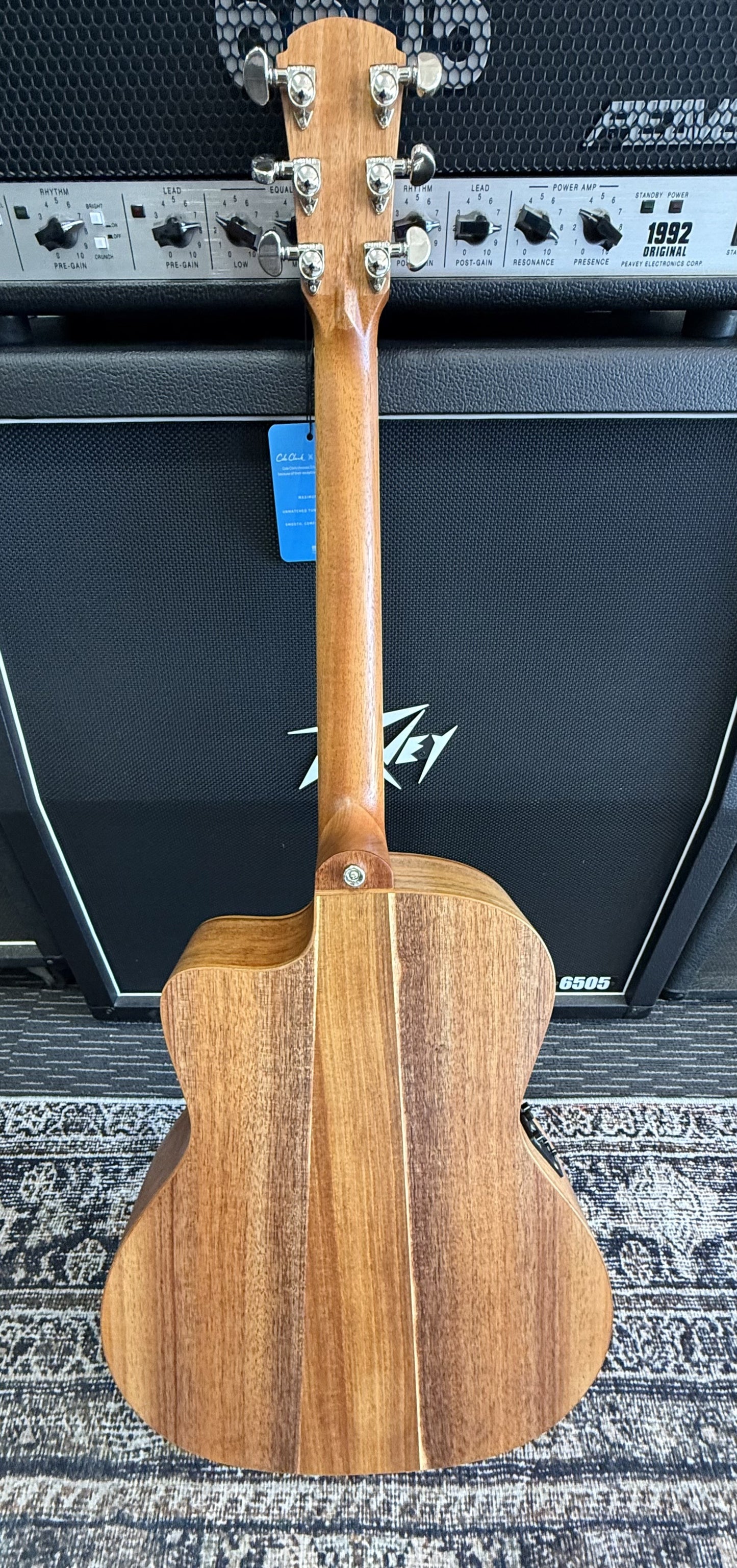 Cole Clark Studio series AN1EC - All Solid Blackwood with Dlx Gig Bag