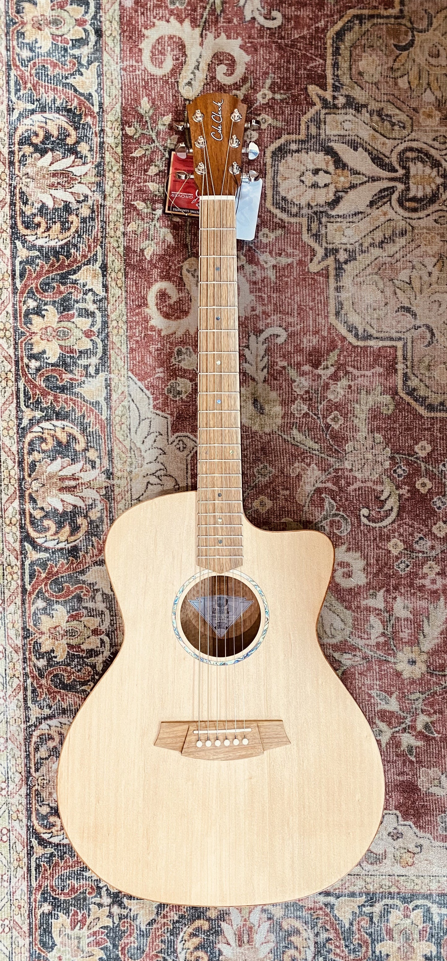 Cole Clark Studio Series AN1EC - All Solid Bunya Top and Silky Oak Back and Sides w/ Dlx Gigbag