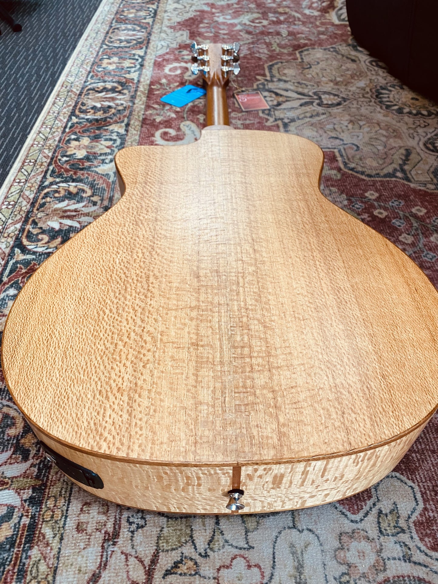 Cole Clark Studio Series AN1EC - All Solid Bunya Top and Silky Oak Back and Sides w/ Dlx Gigbag