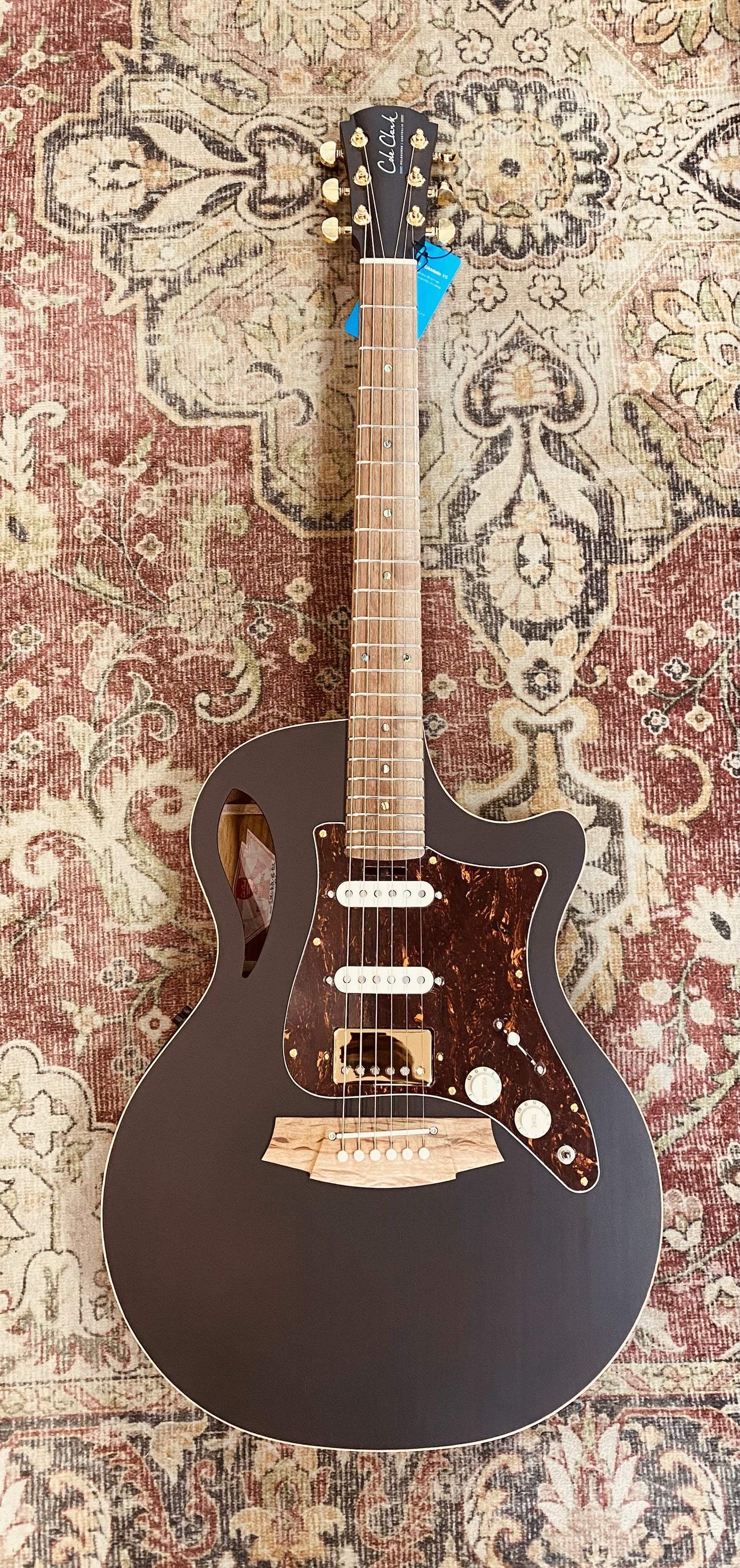 TRUE HYBRID Thinline All Blackwood cutaway Cole Clark Balanced Hum Sing Sing Black
