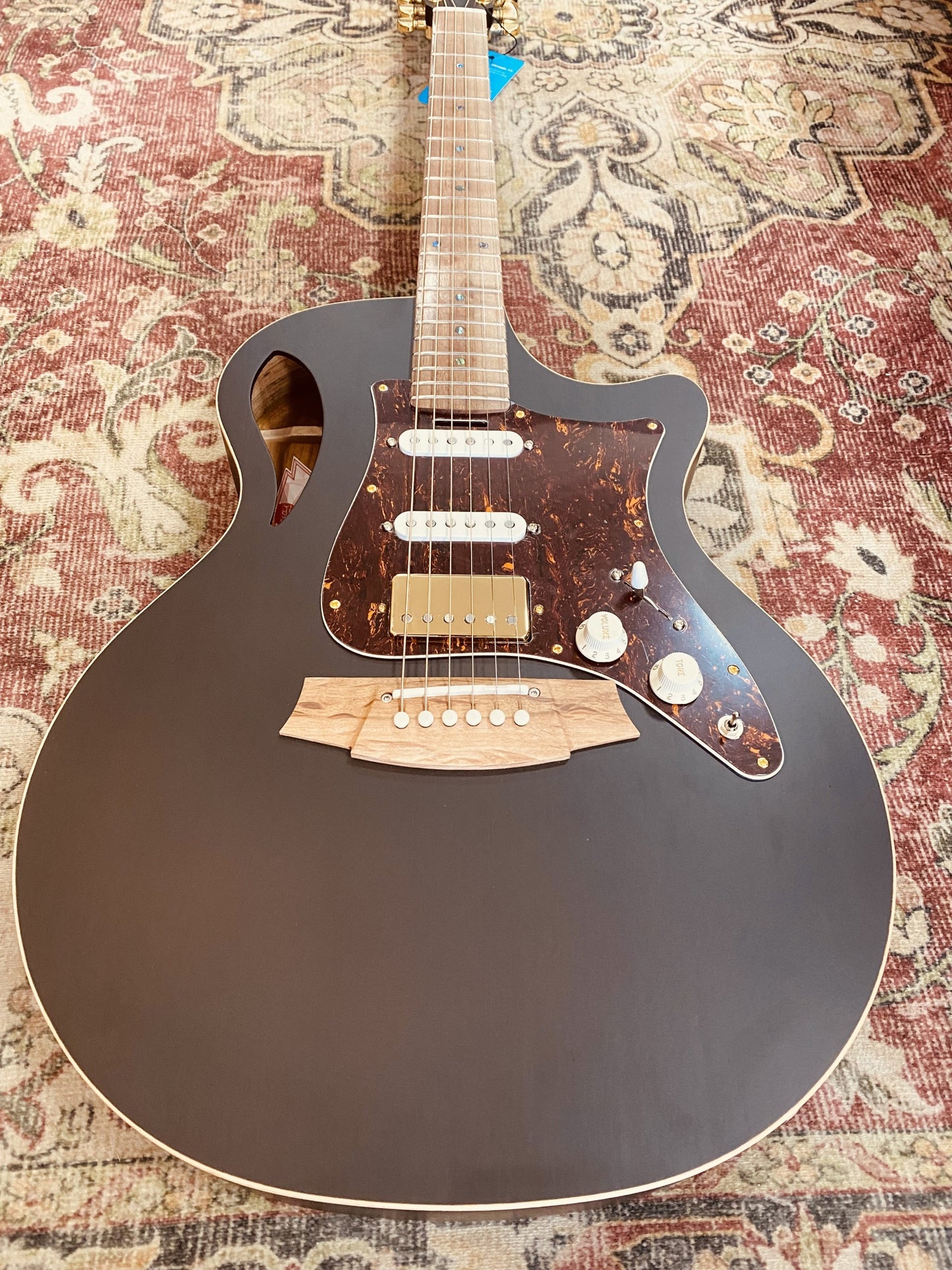 TRUE HYBRID Thinline All Blackwood cutaway Cole Clark Balanced Hum Sing Sing Black