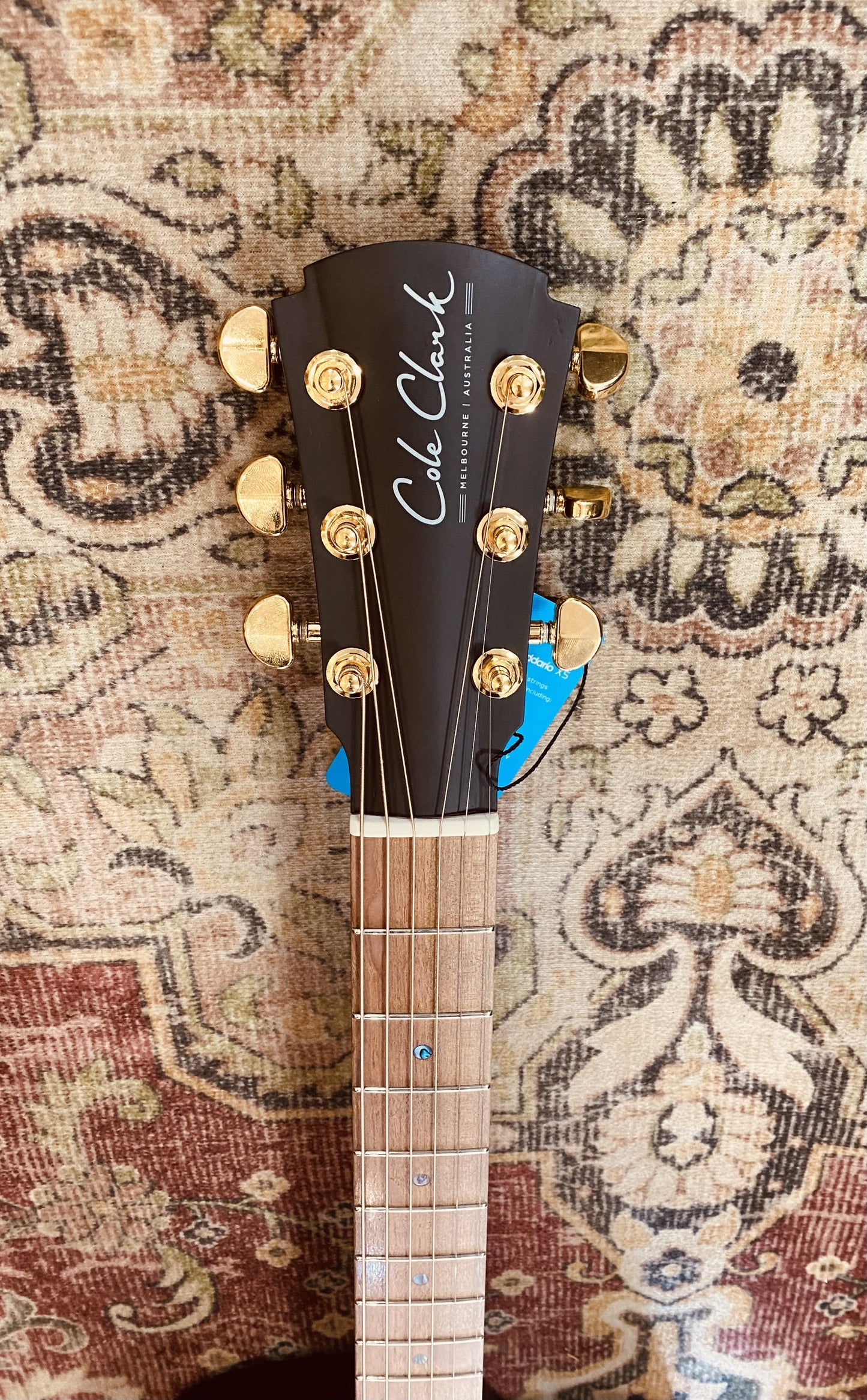 TRUE HYBRID Thinline All Blackwood cutaway Cole Clark Balanced Hum Sing Sing Black