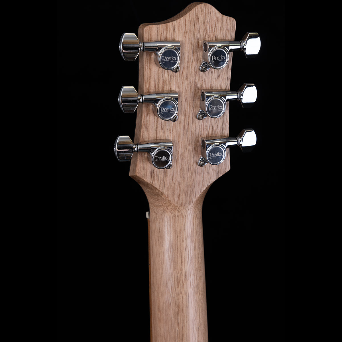 Pratley Electric Semi-Hollow Blackwood Single Cutaway Electric Guitar