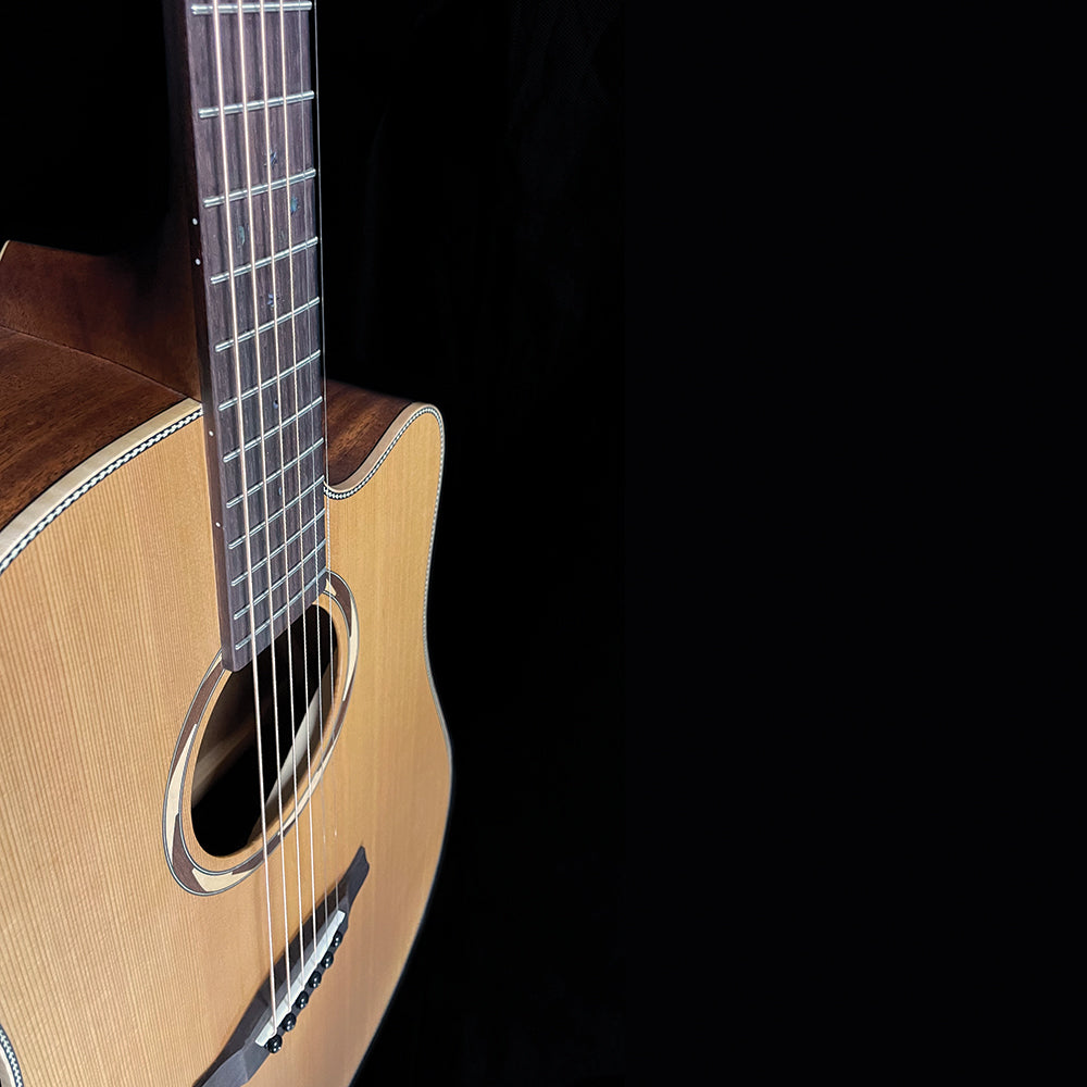 Tanglewood 20th Anniversary Dread cutaway electricLRB Stagepro Element with case