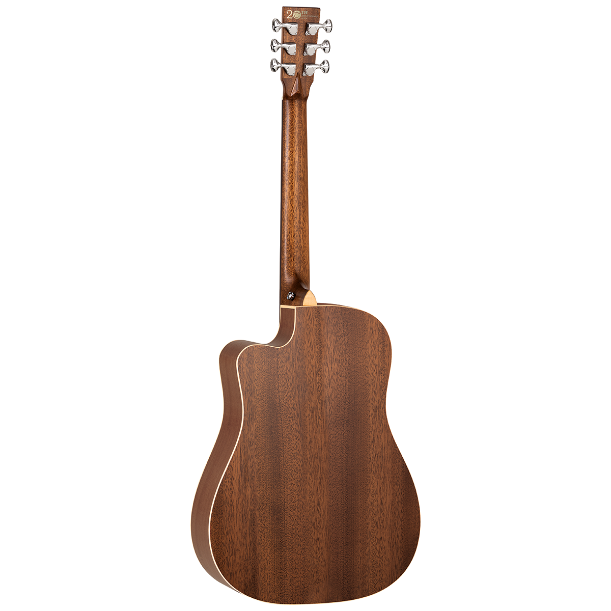 Tanglewood 20th Anniversary Dread cutaway electricLRB Stagepro Element with case