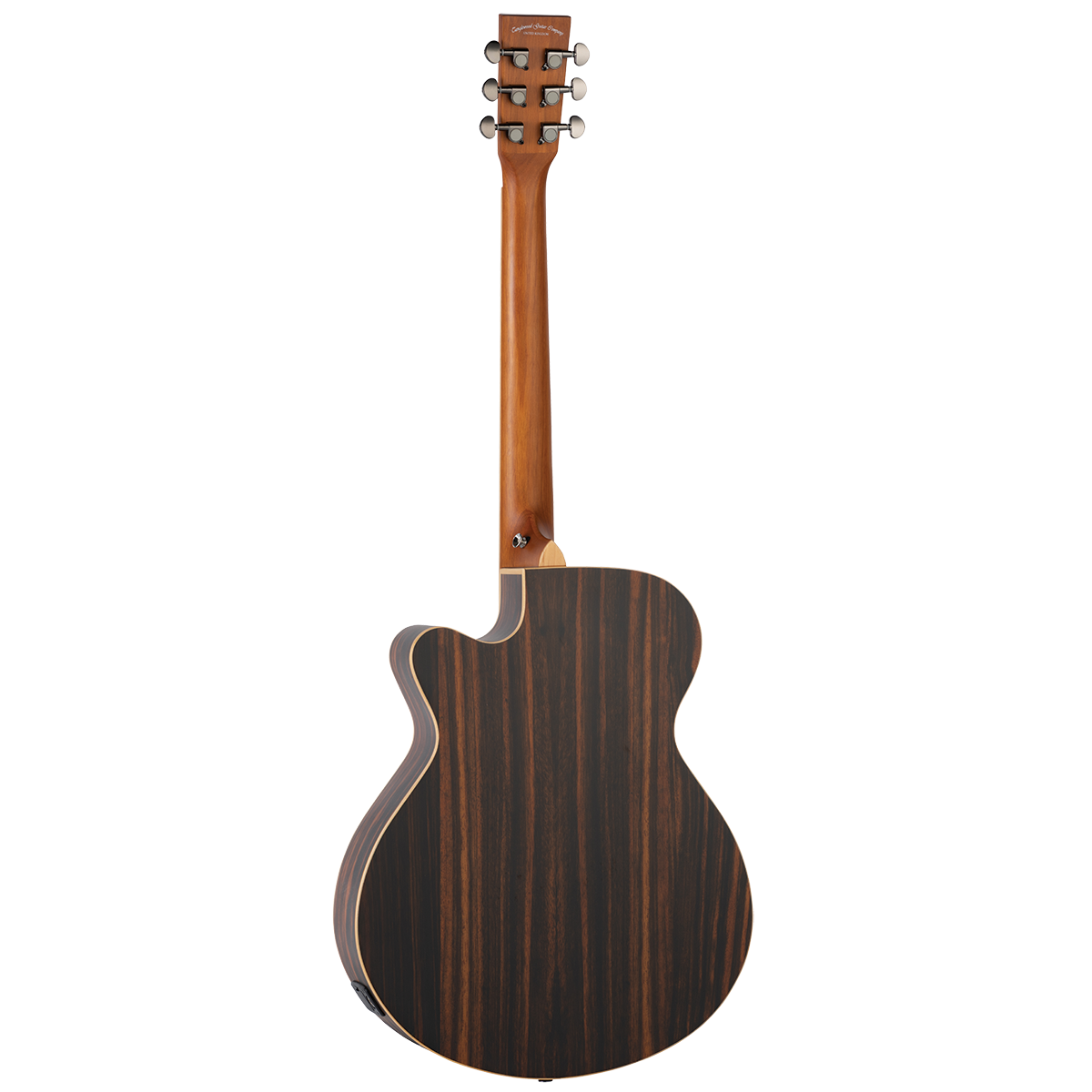 Tanglewood TRPROSFCEAEB Reunion Pro SF C/E All EbonySolid Spruce Top
