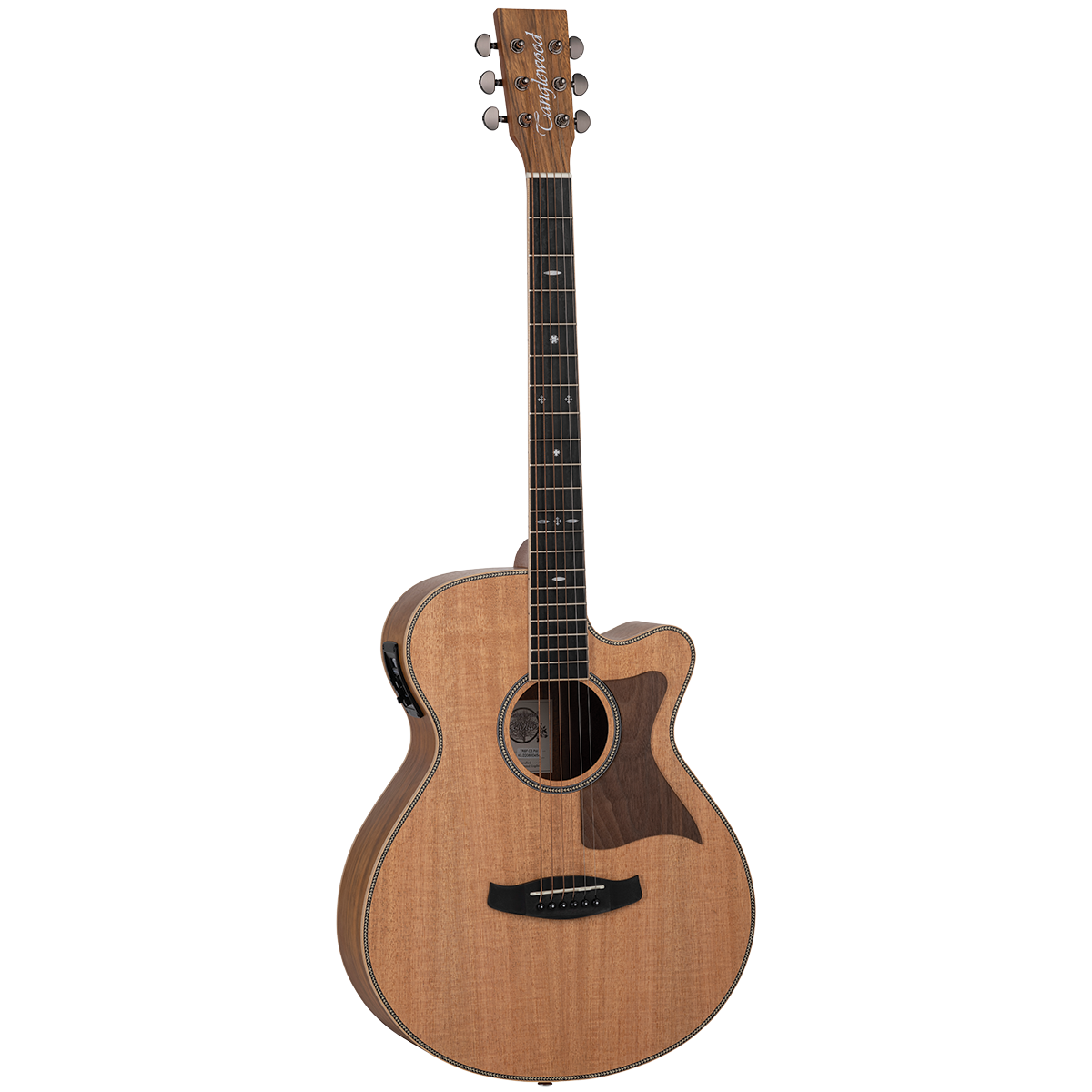 TANGLEWOOD REUNION PRO SF CE- SOLID SPRUCE TOP - PACIFIC WALNUT B/S
