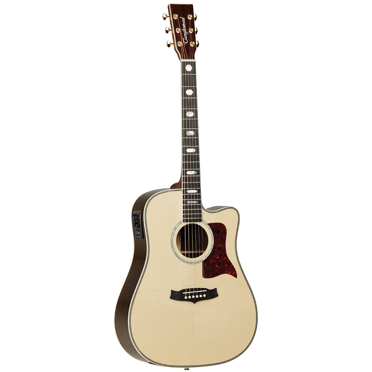 Tanglewood TW1000HSRCE Heritage Dreadnought C/E with ABS Case
