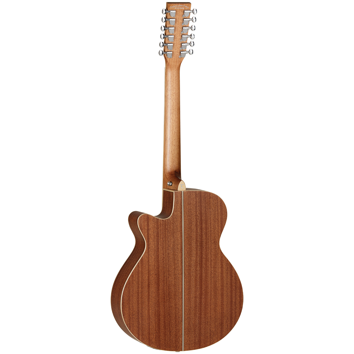 Tanglewood TW12CE Winterleaf Super Folk C/E 12-String