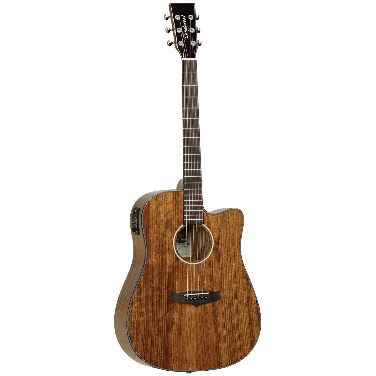 Tanglewood TW28CEXOV Winterleaf Exotic Dread C/EOvankol