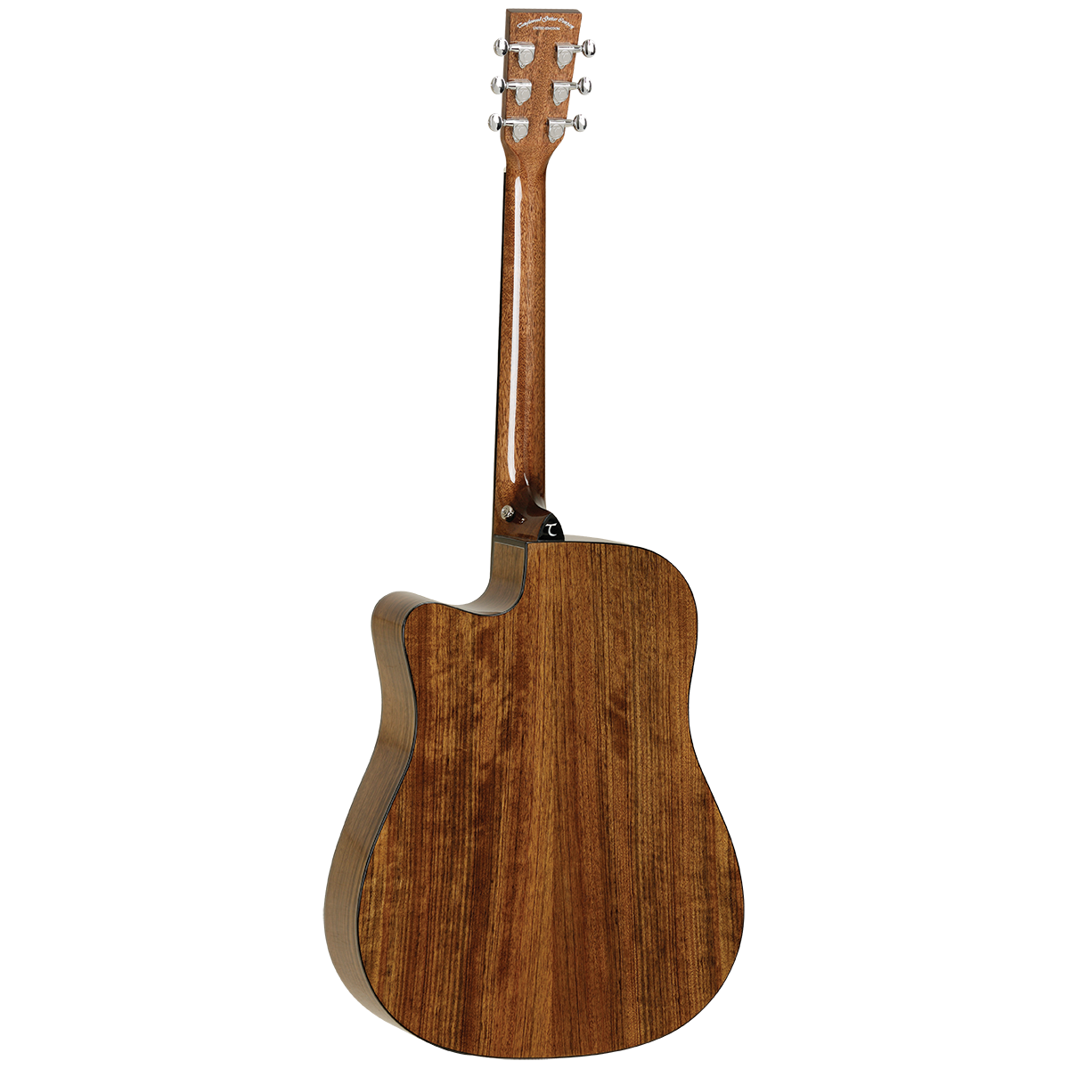 Tanglewood TW28CEXOV Winterleaf Exotic Dread C/EOvankol