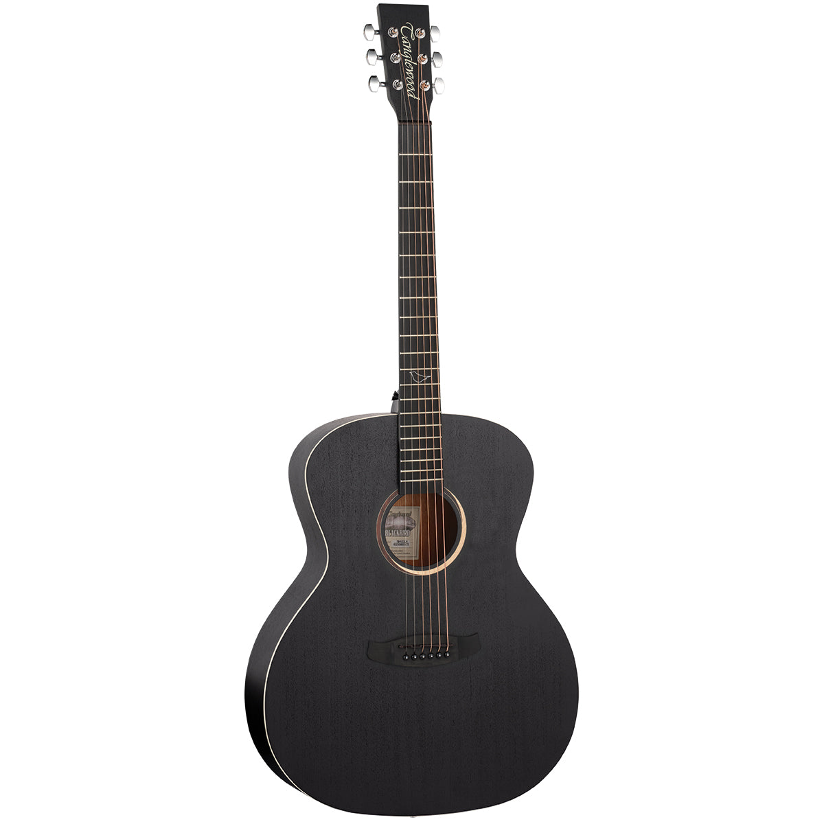 Tanglewood Blackbird Orchestra Acoustic Guitar Left Hand