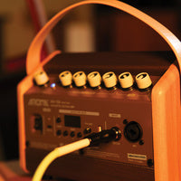 Aroma AG-15AML Acoustic Guitar Amplifier