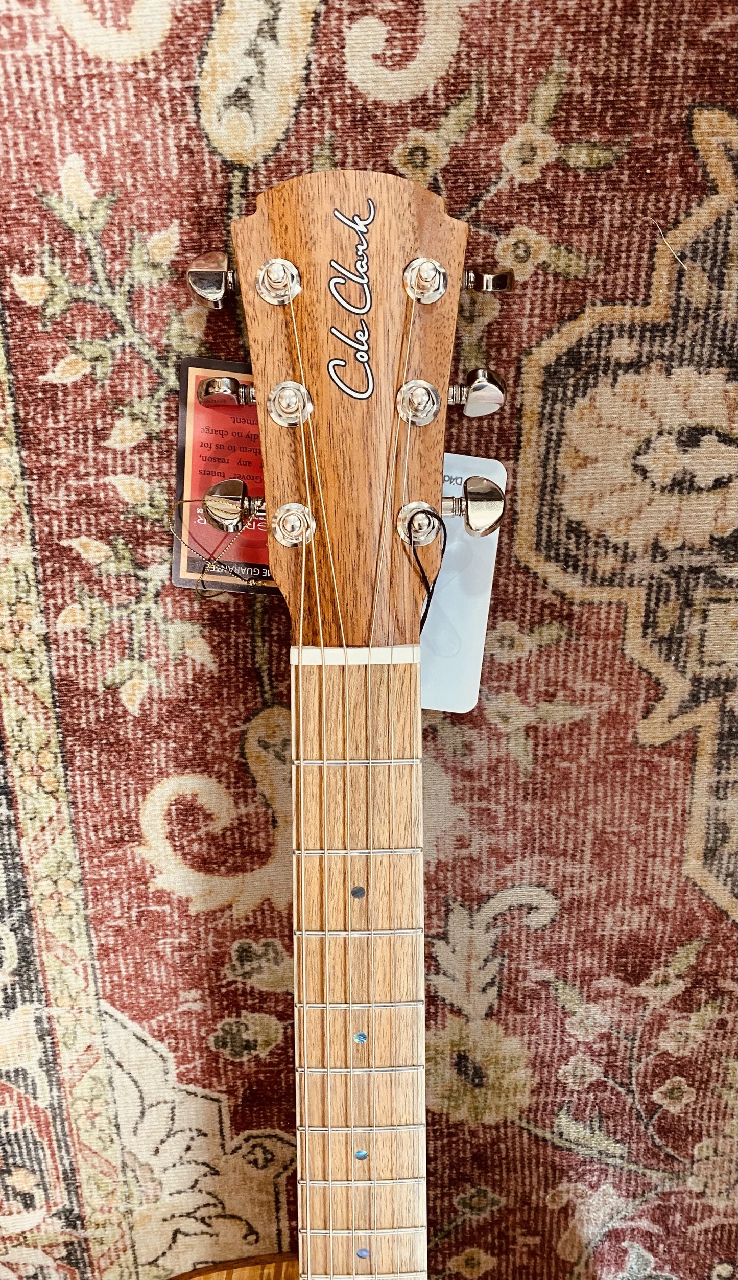 Cole Clark Studio Series AN1EC - All Solid Bunya Top and Silky Oak Back and Sides w/ Dlx Gigbag