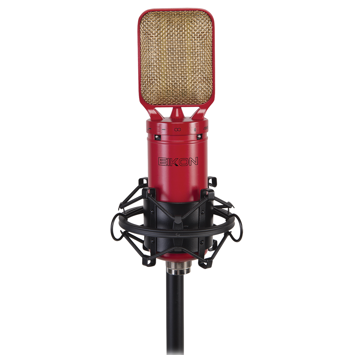 Eikon RM8 Ribbon Microphone