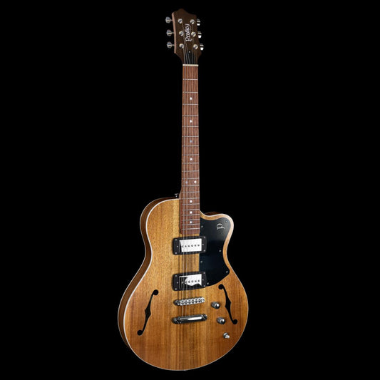 Pratley Electric Semi-Hollow Blackwood Single Cutaway Electric Guitar