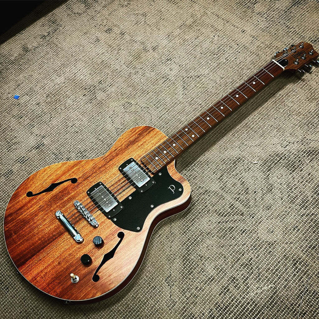 Pratley Electric Semi-Hollow Blackwood Single Cutaway Electric Guitar