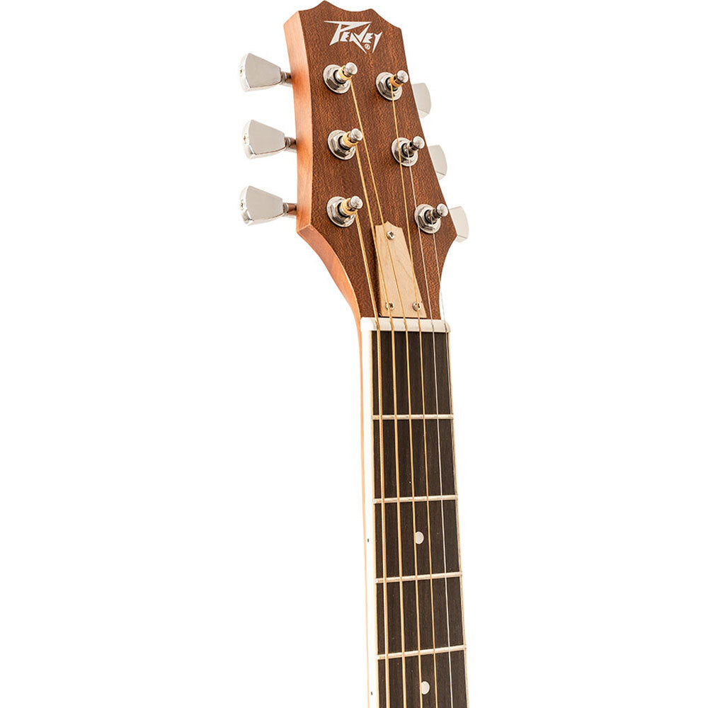 Peavey DW1 Delta Woods Series Dreadnought Acoustic Guitar in Natural Satin Finish