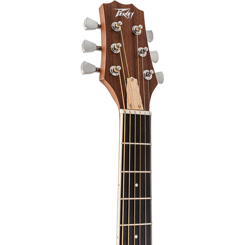 Peavey DW2 Delta Woods Series Dreadnought AC/EL Guitar with Cutaway in Natural Satin Finish