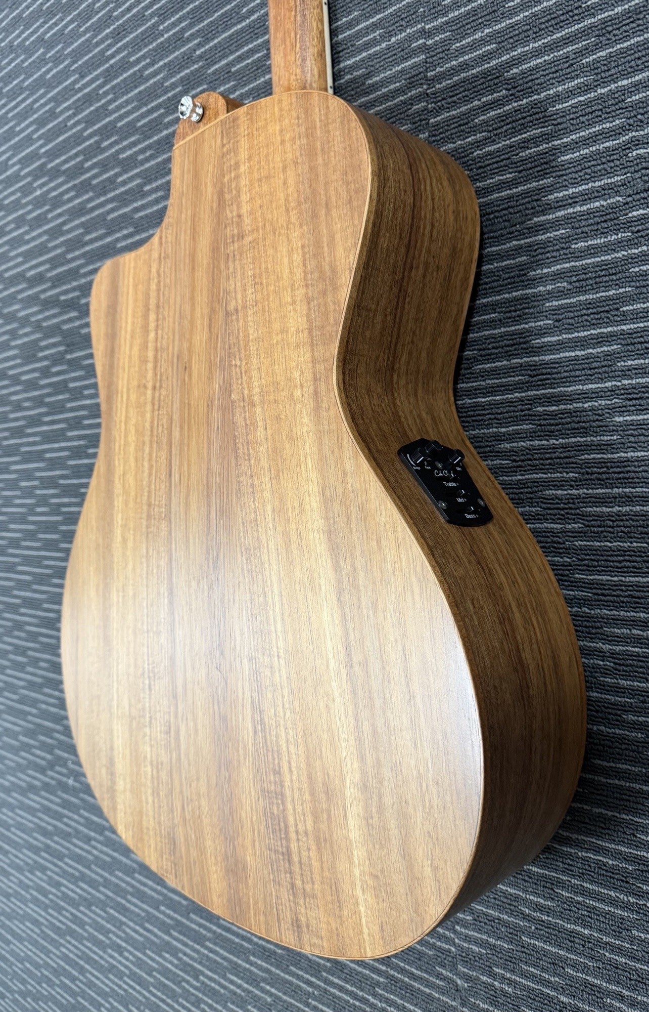 Cole Clark Studio series AN1EC - All Solid Blackwood with Dlx Gig Bag