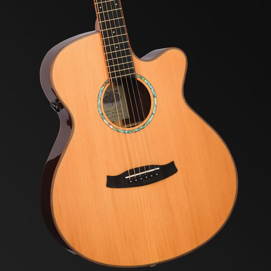 TANGLEWOOD ROSEWOOD SMART - SUPER FOLK