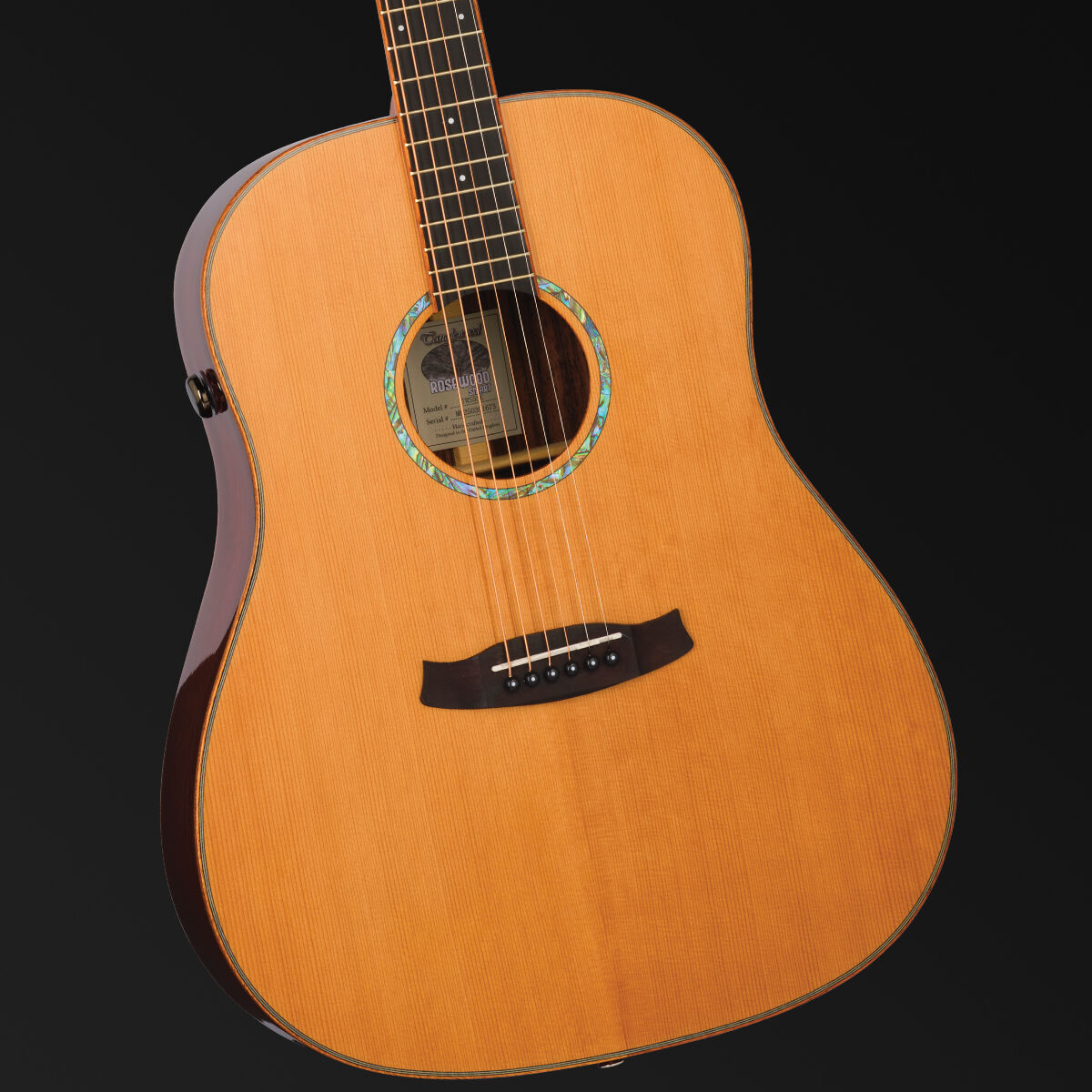 TANGLEWOOD ROSEWOOD SMART - DREADNOUGHT