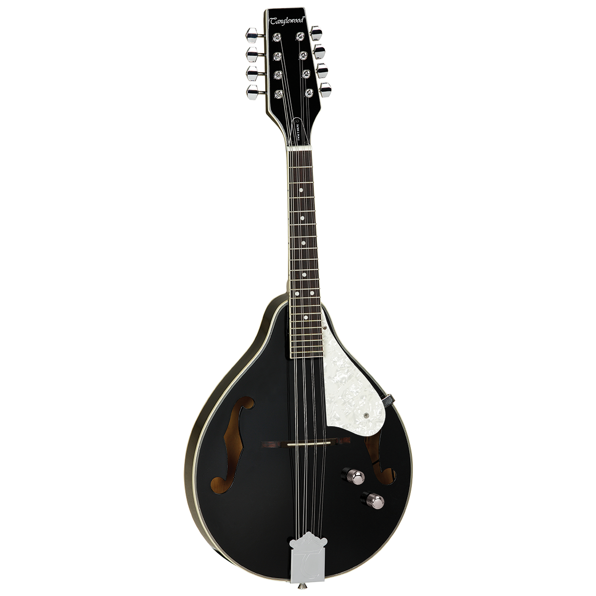 Union Series Mandolin Black With Pickup