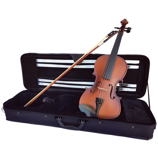 Vivo Neo Plus Student 4/4 Violin Outfit - Professionally Setup
