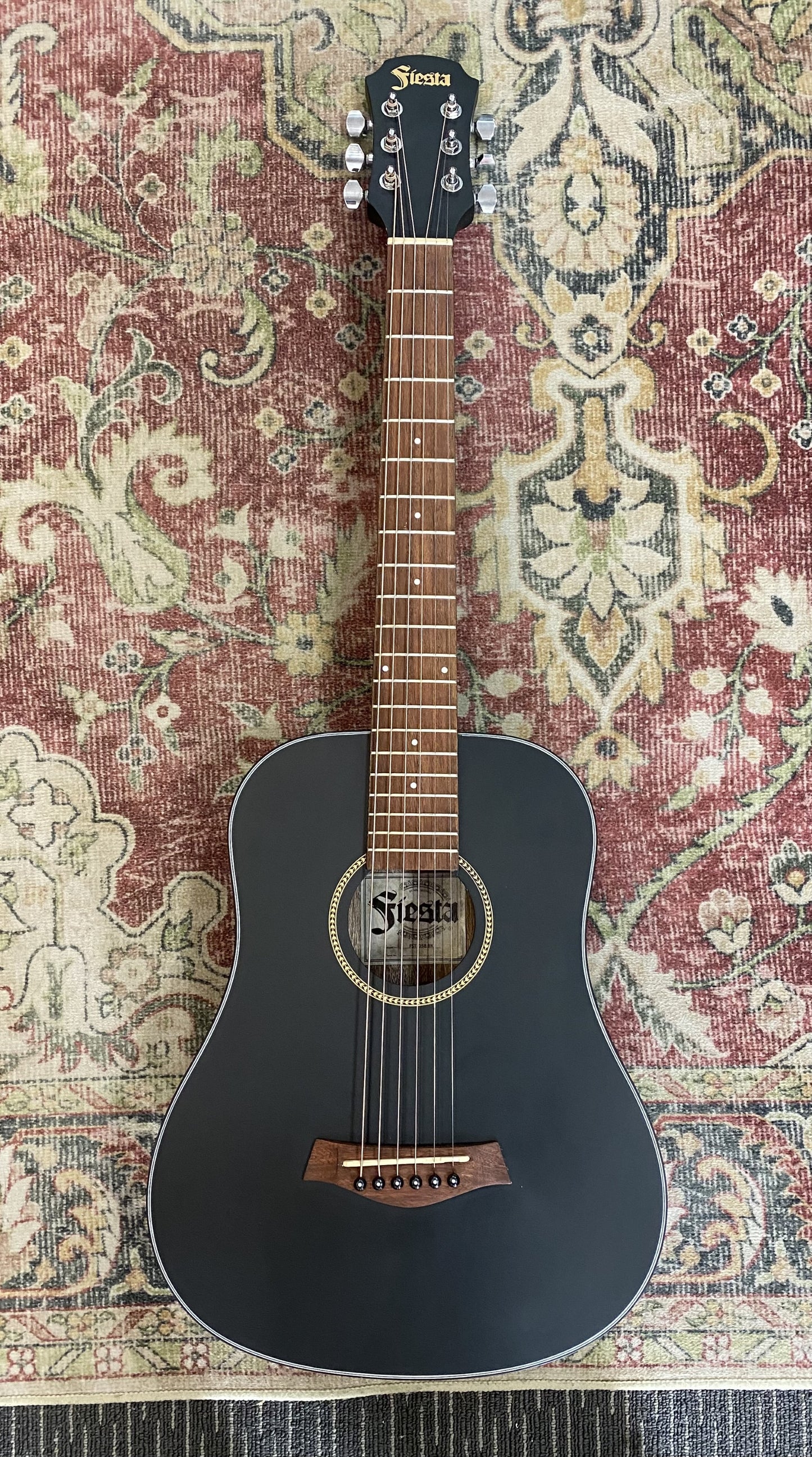 Aria Fiesta Series Traveller Acoustic Guitar in Black Matte Finish