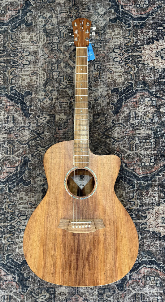 Cole Clark Studio series AN1EC - All Solid Blackwood with Dlx Gig Bag